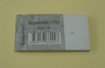 Büyük Numaralı Fiş